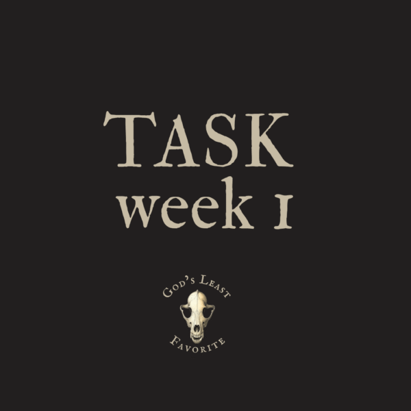 TASK WEEK 1