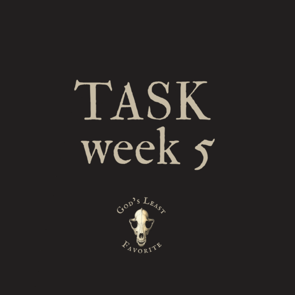 TASK WEEK 5